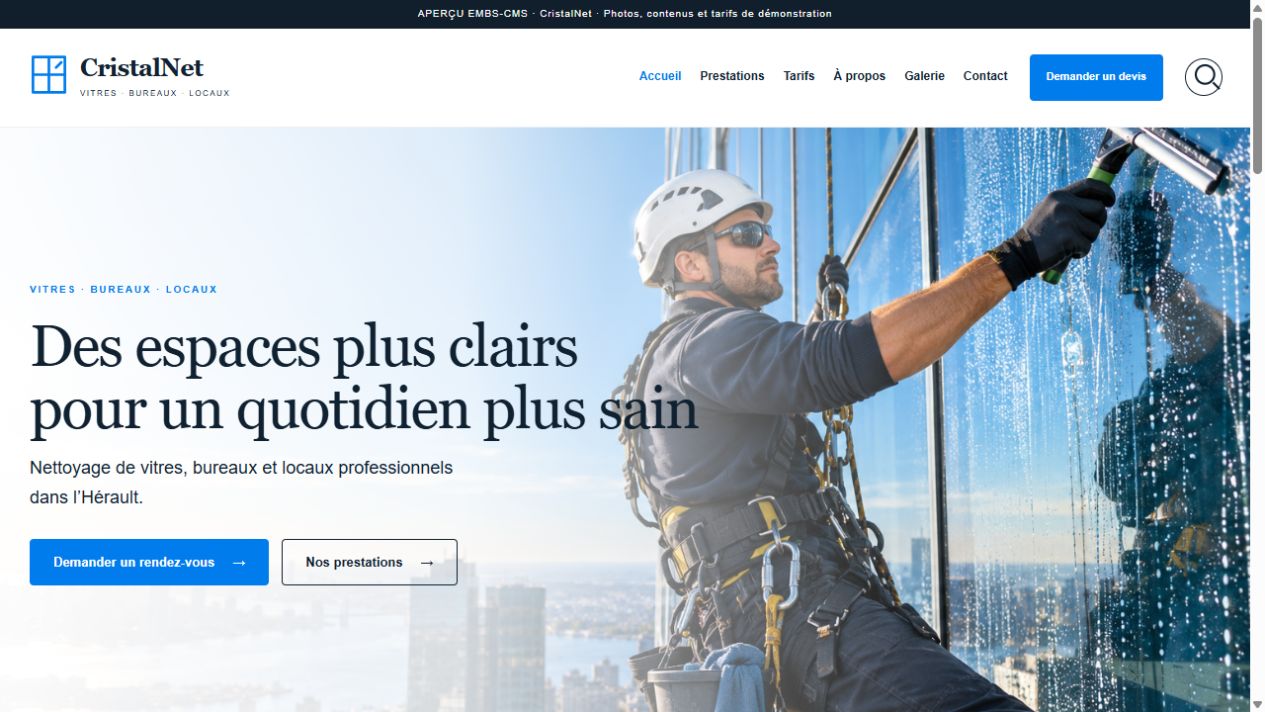 Capture du thème CristalNet