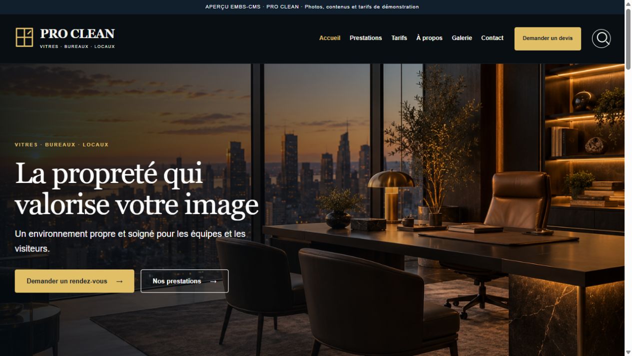 Capture du thème PRO CLEAN